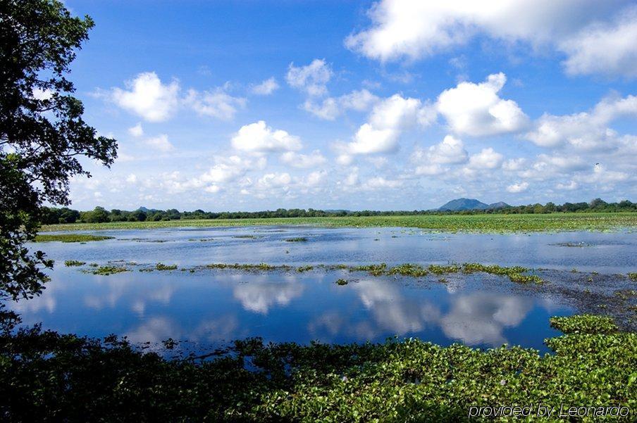 Uga Ulagalla - Anuradhapura Sigirija Udogodnienia zdjęcie